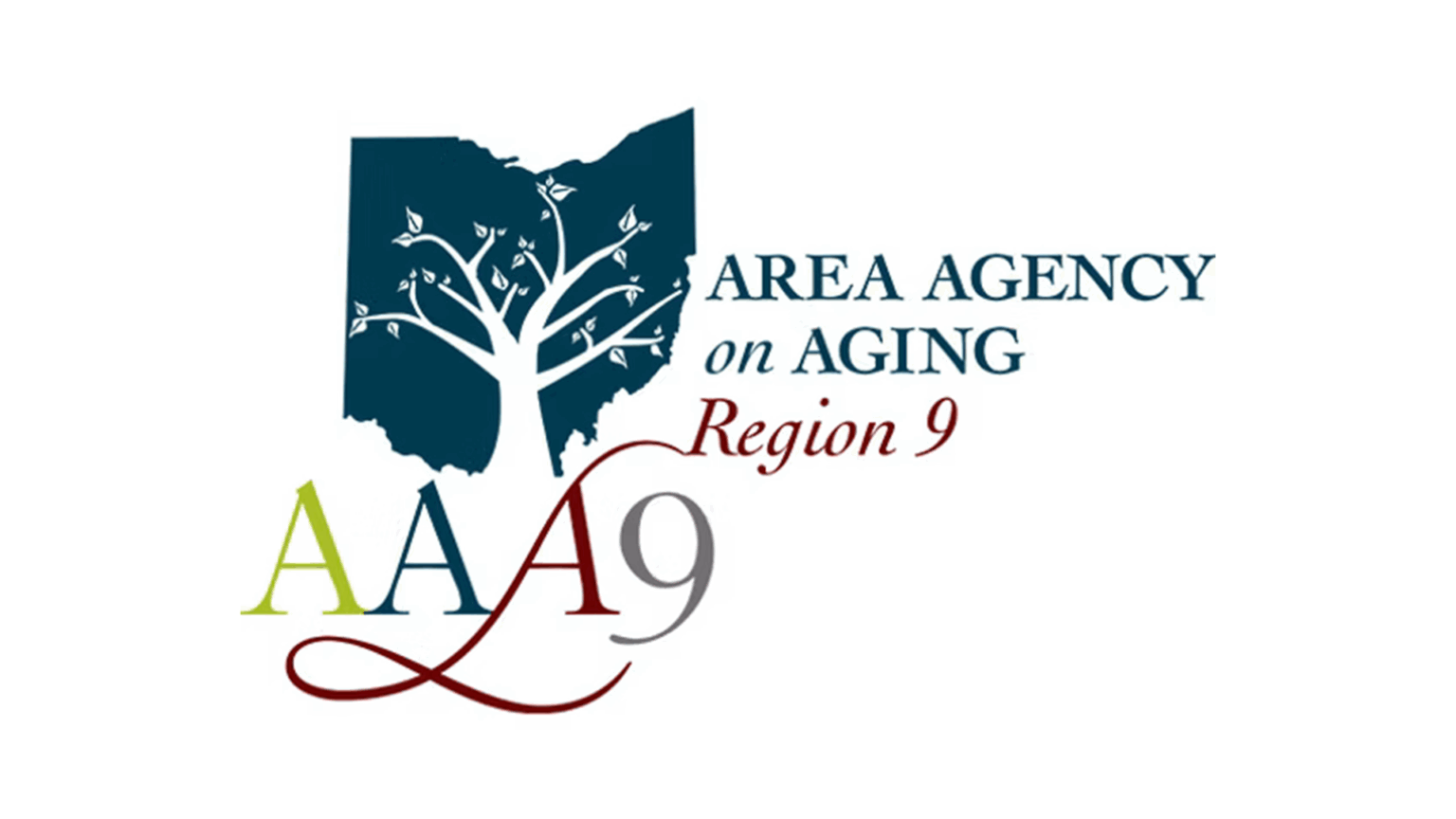 Area Agency on Aging Region 9