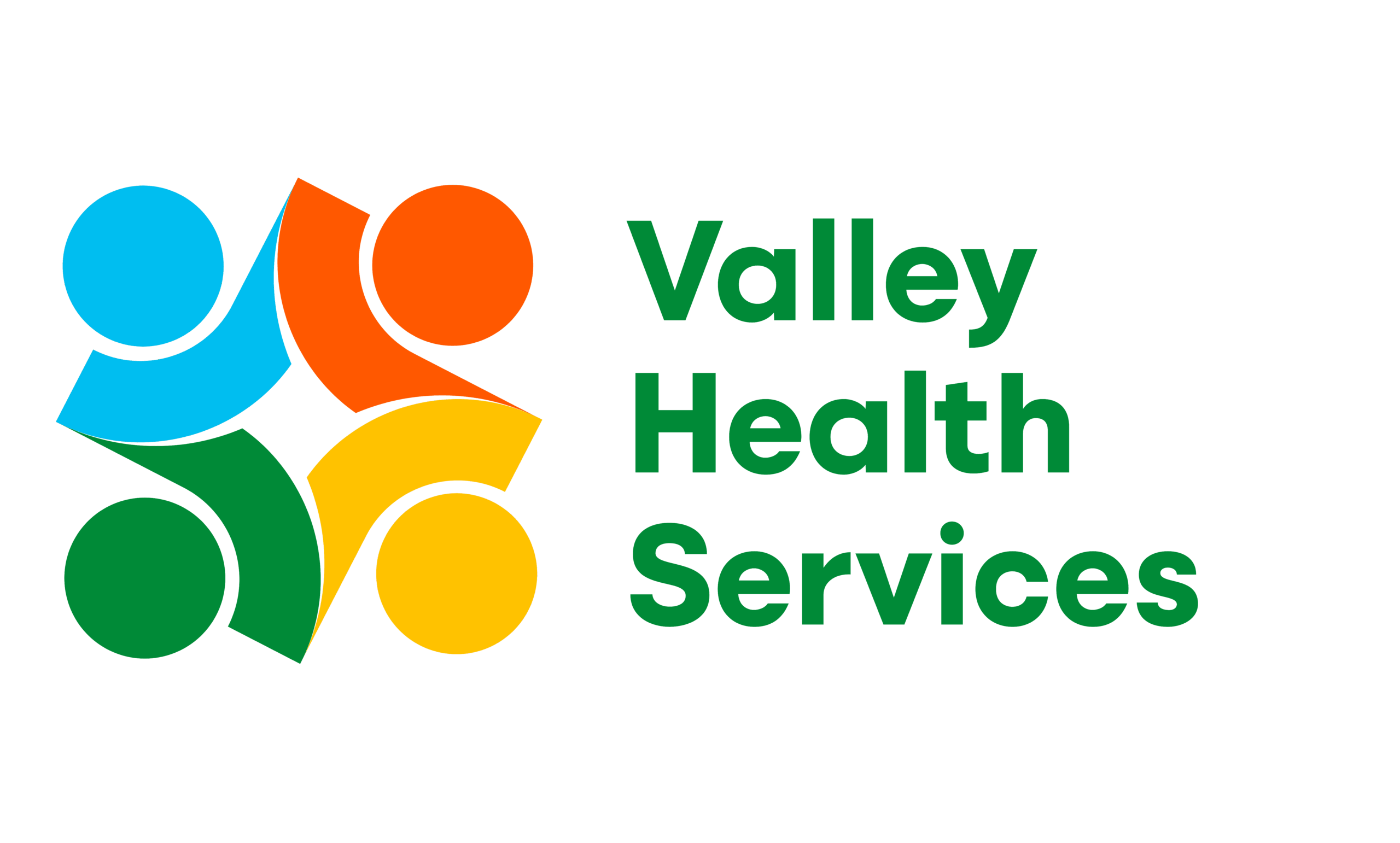 Valley Health Services